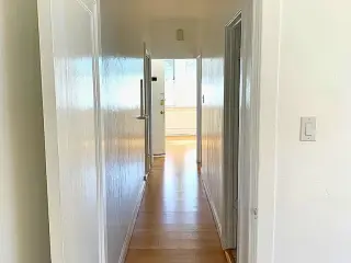 Property Owner.