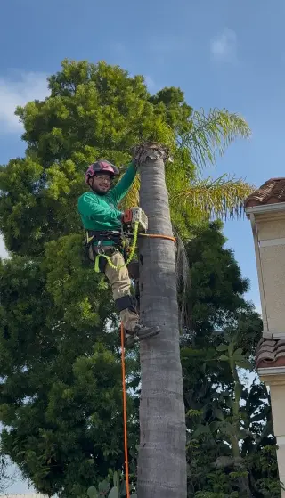 Heartwood Tree Service Corp