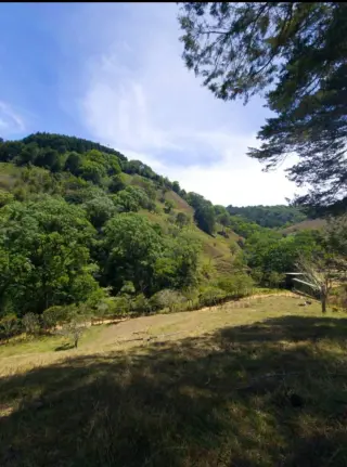 Terreno en Venta con Vistas Impresionantes a las Montañas