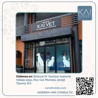 TRASPASO CONSULTORIO / Oficina Premium en Tijuana