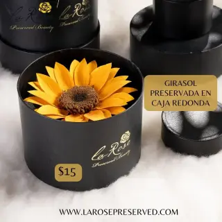Ecuadorian Preserved Roses Infinity Flowers Eternal Roses