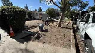 Se buscan Jardineros para mantenimiento