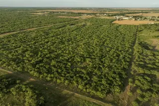 11 acres Clay County | $5,500 de enganche | $1,188/mes | 10 min de Wichita Falls