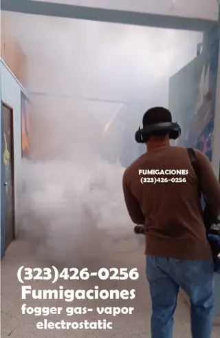 Fumigaciones Termitas Los Angeles