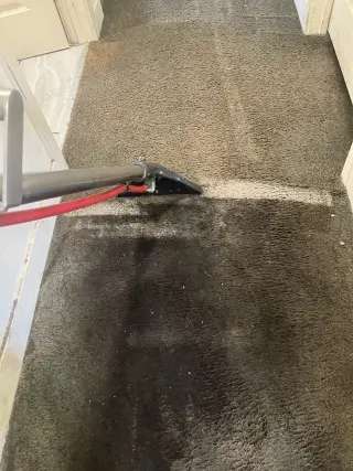 Lavado de alfombra