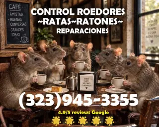 FUMIGACIONES 24/7 LOS ANGELES COUNTY