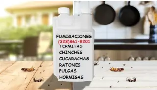 EXTERMINADORES LOS ANGELES