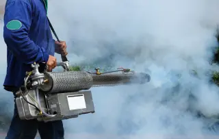 FUMIGACION 100% GARANTIZADA