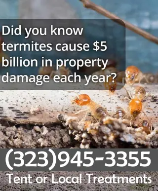 FUMIGACIONES TERMITAS LOS ANGELES