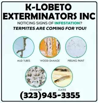 TERMITE TENT FUMIGATION OR LOCAL TREATMENT LOS ANGELES