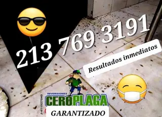 FUMIGACION ECONOMICA $49