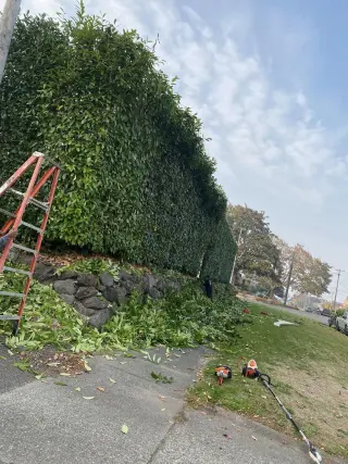Northwest Landscaping & Hardscape