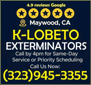 FUMIGACIONES 24/7.- RESIDENCIALES Y COMERCIALES.-
