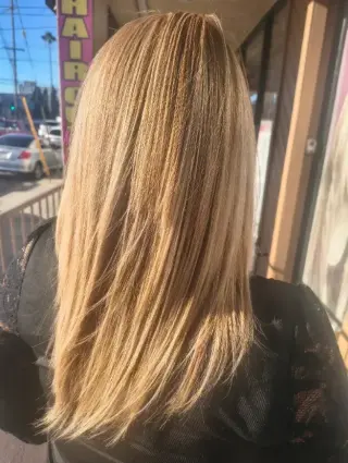 HS hector salon #2