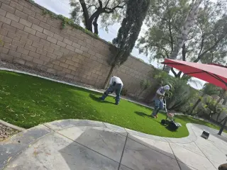 Professional Landscaping Services