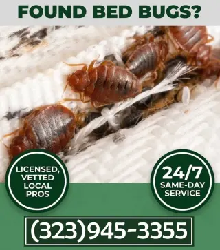 FUMIGACIONES - EXTERMINADORES MAYWOOD 24/7.-