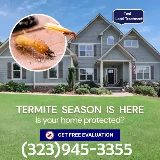 Inspector Termitas Los Angeles y Fumigaciones.-