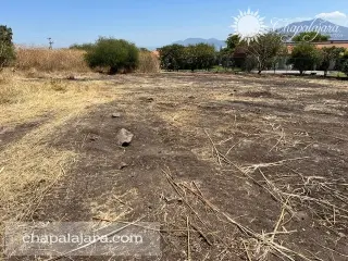 Rancho muy Alegre