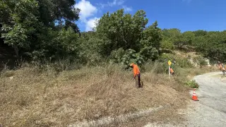 Se buscan Jardineros