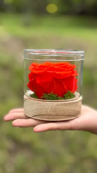 Rosas Preservadas Ecuador Infinity Blooms Flores Eternas