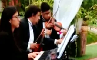 Servicios de violinista para eventos