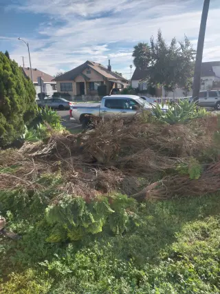 ET junk removal