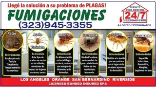 FUMIGACIONES 🎃 🦇 HALLOWEEN 🦇 🎃 24/7.~ LOS ANGELES.~