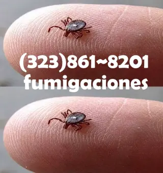 EXTERMINADORES LOS ANGELES
