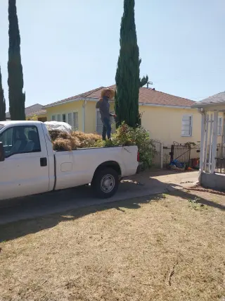 Erick's junk removal services