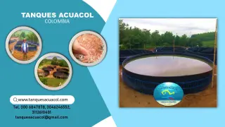 INSTALACIÓN Y ASESORÍA EXPERTA
