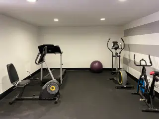 MOVE - IN SPECIAL Fully Renovated Studio in Prime Los Angeles Location