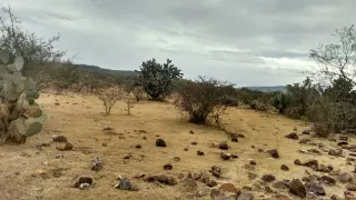 VENTA TERRENO 1100M2 EN LA FUENTE A 15 MINUTOS DEL AEROPUERTO