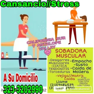 SOBADORA MUSCULAR. * NO MASAJISTA*