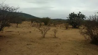 VENTA TERRENO 1100M2 EN LA FUENTE A 15 MINUTOS DEL AEROPUERTO