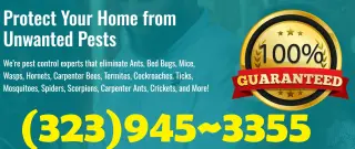 Fumigaciones ~ Exterminaciones Plagas ~ Orange County