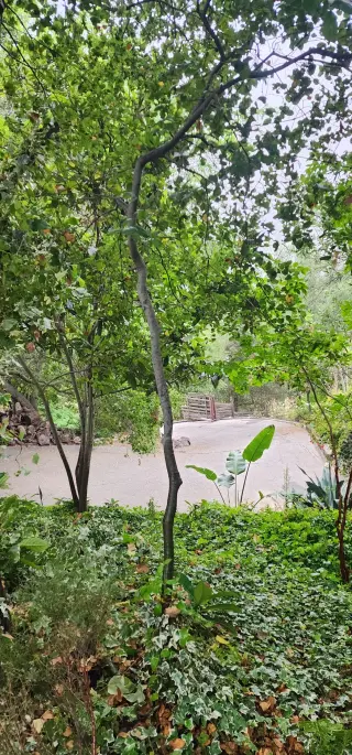 Instalación de Césped Artificial para Su Jardín
