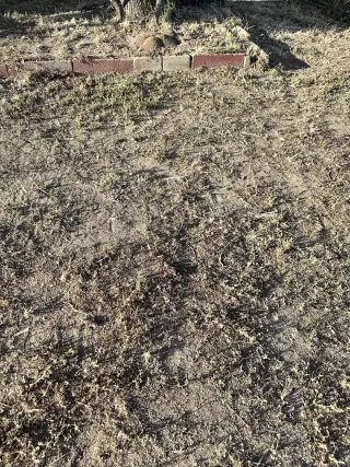 Rento casa de 3 recámaras un baño