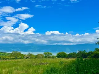 Great & Affordable, Lot A