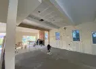PROFESSIONAL PAINTER AND DRYWALL REPAIR