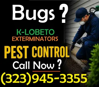 FUMIGACIONES - EXTERMINADORES MAYWOOD 24/7.-