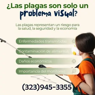 EXTERMINADORES MAYWOOD ~ BELL ~ CUDAHY ~ HUNTINGTON PARK