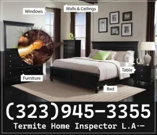 Inspector Termitas Los Angeles y Fumigaciones.-