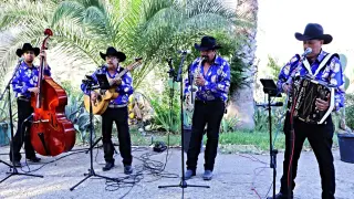 Chirrines con Tololoche y Sax por area de Lynwood CA