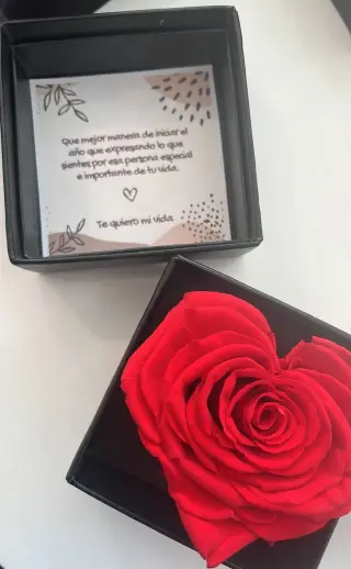Rosas Preservadas Ecuador Infinity Blooms Flores Eternas
