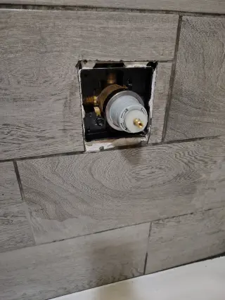 Plomería y electricidad.
