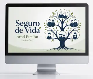 Agente Finanzas en Seguros