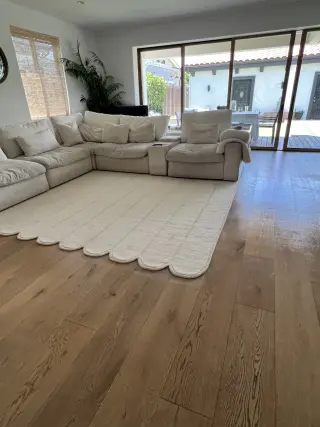 Profesional cleaning services