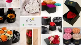 Rosas Preservadas Ecuador Infinity Blooms Flores Eternas