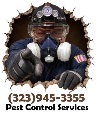 FUMIGACIONES LOCALES EN LOS ANGELES 24/7.-