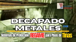 Loseta Antiácida para plantas químicas